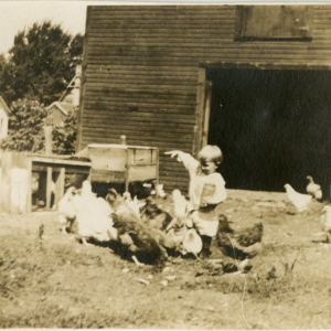 Waco, Texas - World War I - a little boy and chickens