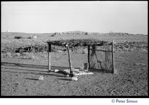 Desert arbor, Lama Foundation