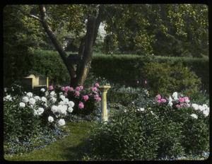 Mrs. Churchill (perennial garden, sundial, tree, hedges)