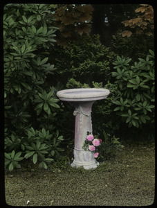 Bird Bath, Falmouth (light colored stone, pink roses, rhododendrons, azaleas, maples)