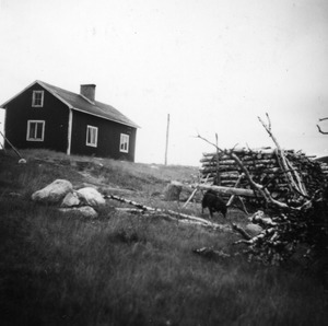 House with woodpile