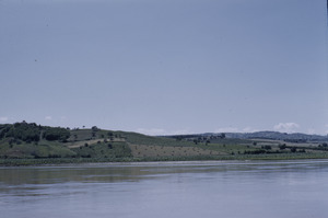 Cultivated land along Danube