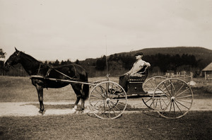 Oscar A. King in his carriage, with horse Mae (Greenwich, Mass.)
