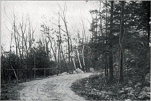 Penny Brook Road near Walden Pond