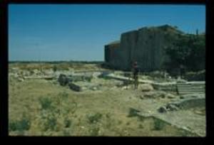 View of Site, 1980