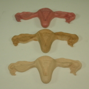 Uterus and embryo production models, 1945-2007