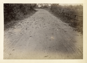 Provincetown to Boston, station no. 251, Bourne