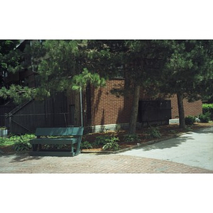Park bench, hostas, and pine trees in a Villa Victoria plaza.
