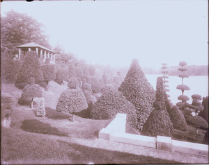 Wellesley hedge