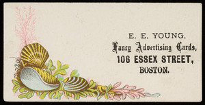 Trade card for E.E. Young, fancy advertising cards, 106 Essex Street, Boston, Mass., undated