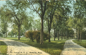 The Avenue, M.A.C., Amherst, Mass.