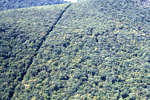 Aerial color image of telephone line cut at crest of Taconic spur ridge.