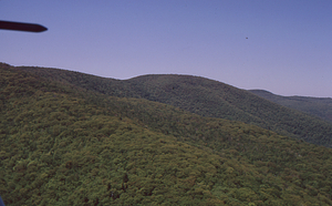 Aerial oblique view of Midddle Branch and North Branch of Birch Brook on 28 May 1972 in the Hopkins Forest.