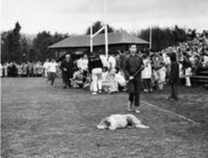 Crowd at Weston Field, 1958