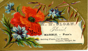 M. W. Sloan, florist, bedding plants, cut flowers, boquets, designs &c.