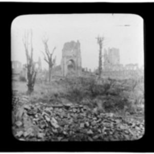 Stripped trees and damaged buildings