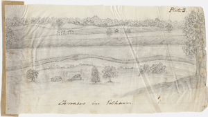 Pencil drawing, "Terraces in the Pelham"