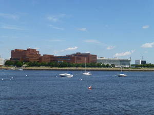 Seeing UMass Boston from a kayak