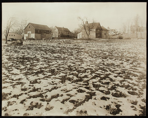 Abraham Browne House and fields