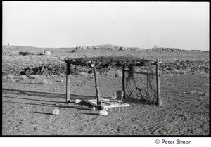 Desert arbor, Lama Foundation