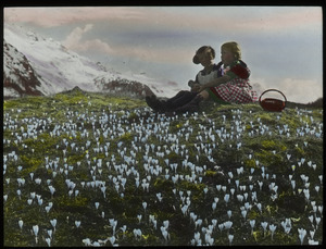 Crocus- wild, Switzerland (two girls sitting on grassy hill among white wildflowers with mountains in the background)