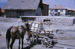 Horse-drawn cart in Ohrid