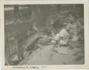 Paul and Joel Kahn feeding deer at Franklin Park Zoo