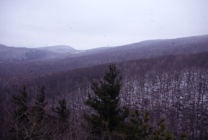 Panorama to the east from the top of a white pine in permanent plot 0712, Southeastern frame #4.