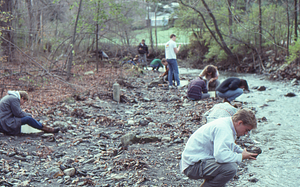 Students sample aquatic insects from Buxton Brook in BIOL 203 - Ecology field lab.