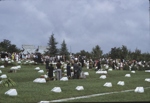 Earthquake victims graveyard