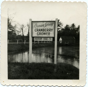 Duxbury Cranberry Company: Sign 'Ocean Spray Cranberry Co. / Duxbury Cran. Co.' on Rte. 14 near pump house