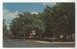 Alden Street Intersection on campus at Springfield College