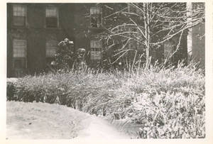 A Wintery Picture of the Alumni Hall at Springfield College, ca. 1950