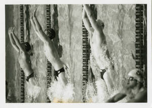 Four male swimmers at the start of a race