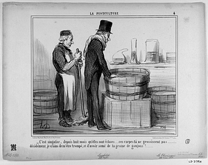 - C'est singulier, depuis huit mois qu'elles sont écloses...... ces carpes-là ne grossissent pas.......... décidément, je crains de m'être trompé, et d'avoir semé de la graine de goujons!......