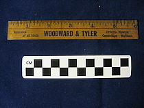 Wooden Ruler, Woodward & Tyler