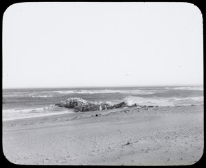 View of a breakwater under construction