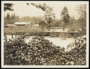 Exterior view of the Lyman Estate greenhouses in winter