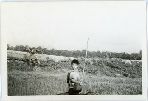 Boy in countryside
