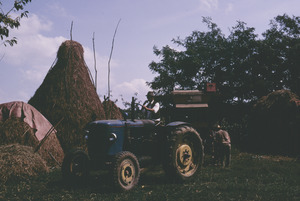 Tractor and combine in Orašac
