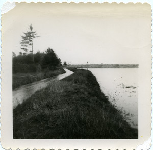 Duxbury Cranberry Company: Bog #2 with ditch on left to pump house