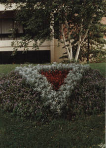 Arrangement of Flowers in front of Babson Library in Springfield College, ca. 1990
