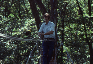 Canopy walkway 2. Final construction with Barthold "Bart" Bouricius finishing rigging at the west end.