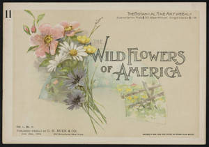 Wild flowers of America : flowers of every state in the American Union. Vol. 1., No. 11