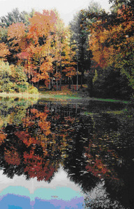 Echo Hill South pond in Amherst
