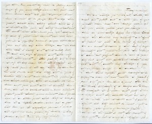 Letters to W. Austin Dickinson
