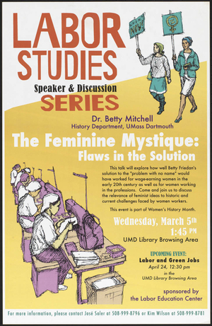 The feminine mystique : Flaws in the solution