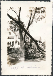 My house - 1938 hurricane