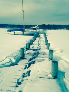Frozen in, Lake Tashmoo