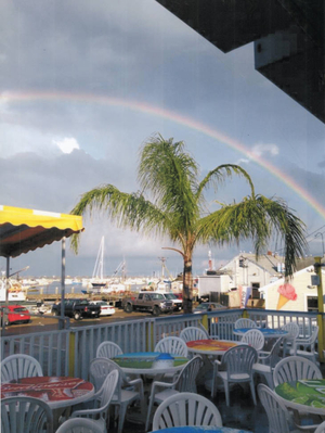 Paradise after a rain storm at CabbyShack restaurant